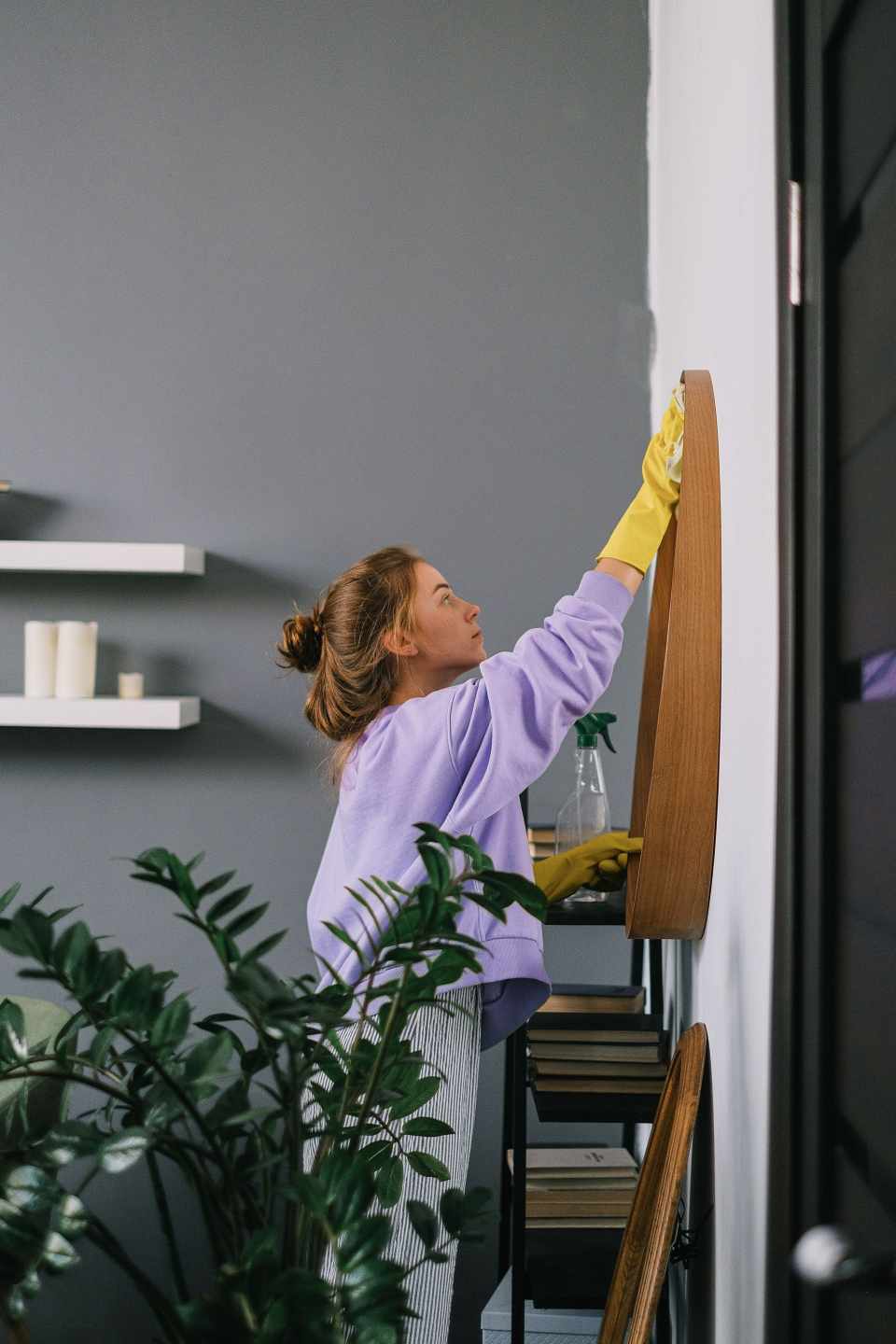 Professional home cleaning